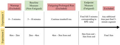 Use of subject-specific models to detect fatigue-related changes in running biomechanics: a random forest approach